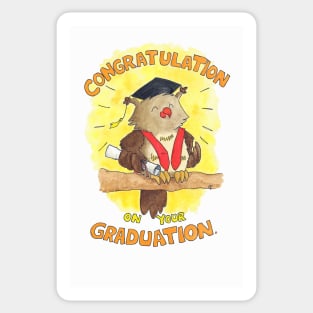 Congratulation on your Graduation Owl Sticker